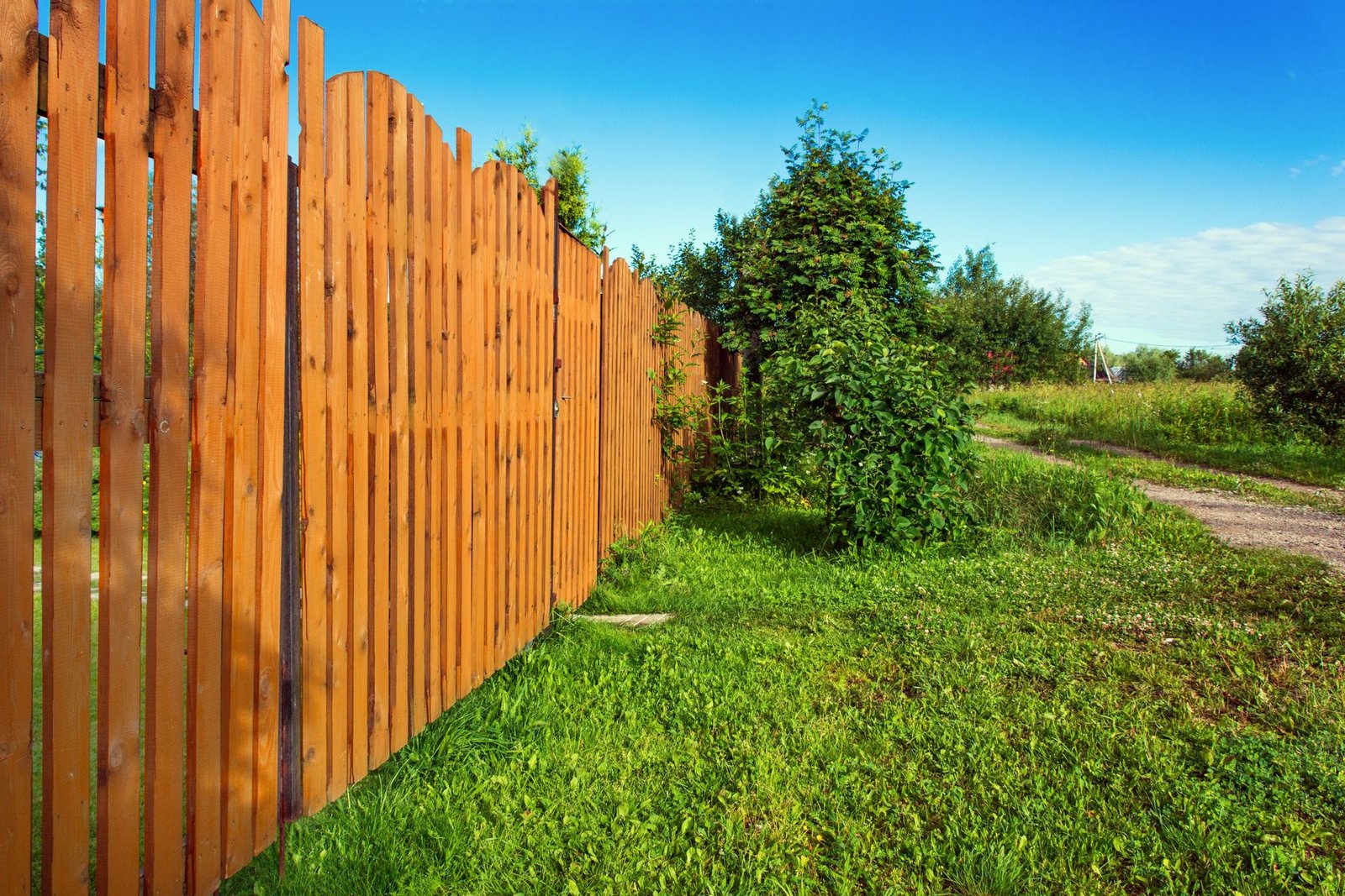 Cedar Wood Fence with Green Lawn